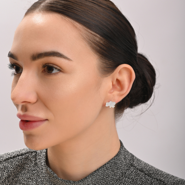 Серебряные пусеты карта Украины