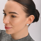 Серебряные пусеты карта Украины