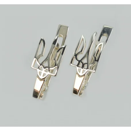 Срібні сережки з золотими пластинами