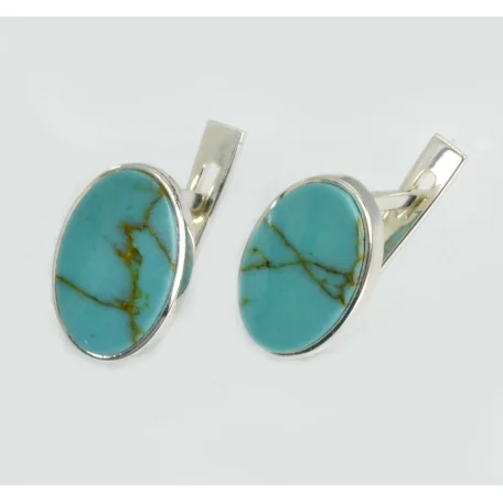 Срібні сережки з бірюзою