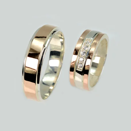 Пара обручок зі срібла та золота